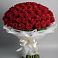Букет 101 Красная роза Блэк Мэджик в Новую Купавну