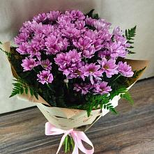 Букет цветов из:  Хризантемы #REPLACE_PRED# Новую Купавну