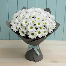 Букет цветов из:  Хризантемы #REPLACE_PRED# Новую Купавну