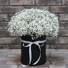 Цветочная композиция из Гипсофила в шляпной коробке в Новую Купавну
